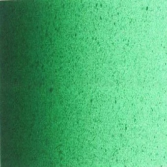 VERT PERMANENT FONCE 619
