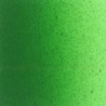 VERT PERMANENT MOYEN 614