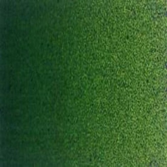 VERT DE VESSIE
