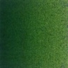 VERT DE VESSIE
