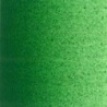 VERT PERMANENT MOYEN