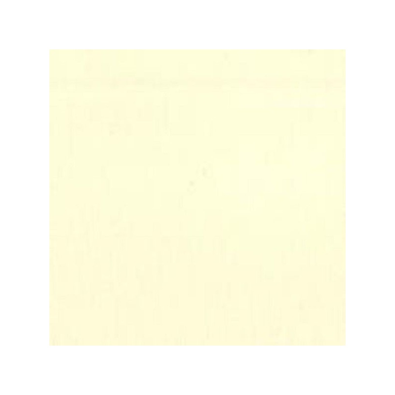 BLANC DE TITANE (LIN)