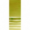 DG SERPENTINE GENUINE