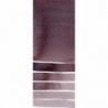 DG MOONGLOW