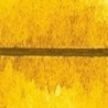 GG OCRE JAUNE