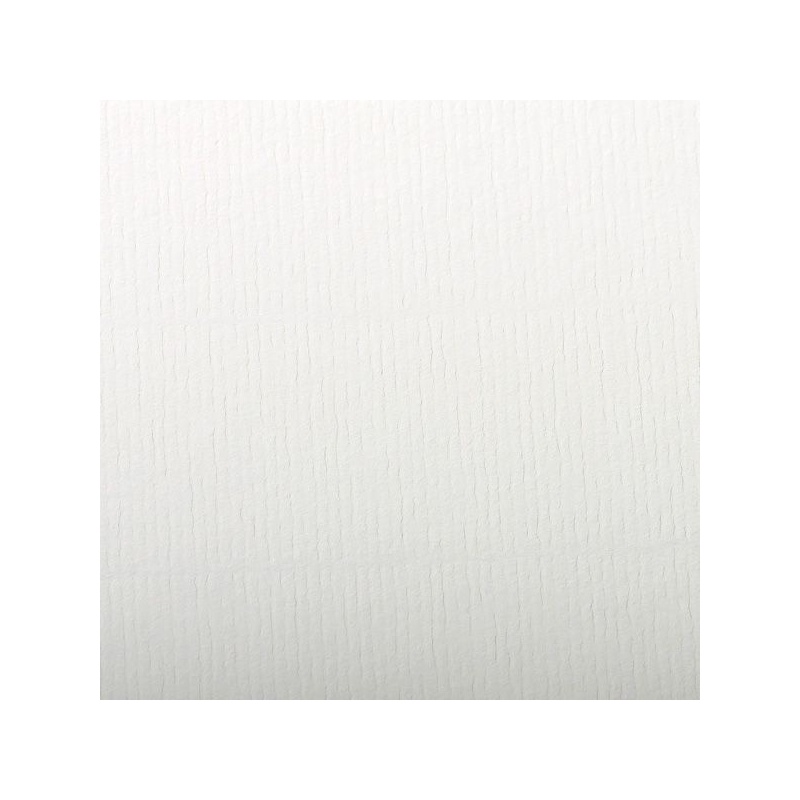 FEUILLE INGRES PASTEL 130 G 50 X 65 BLANC