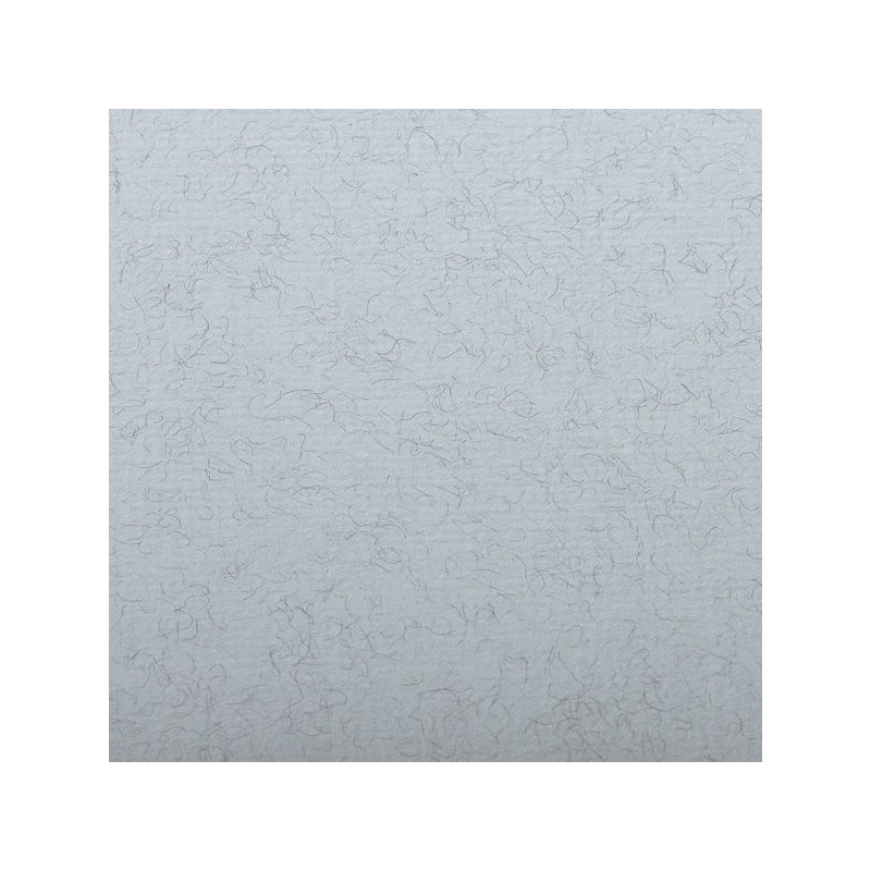 FEUILLE INGRES PASTEL 130 G 50 X 65 BLEU MARBRE