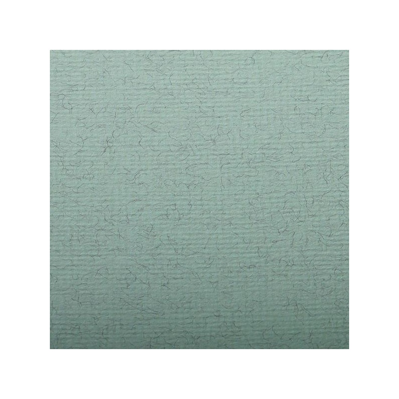 FEUILLE INGRES PASTEL 130 G 50 X 65 VERT D EAU