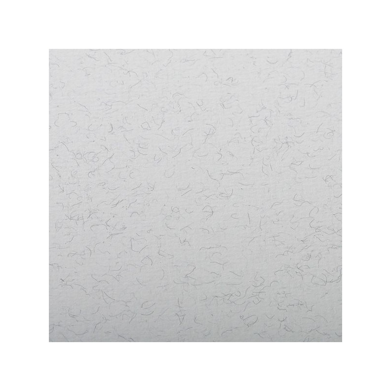 FEUILLE INGRES PASTEL 130 G 50 X 65 GRIS CLAIR