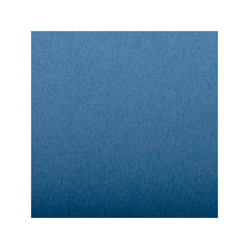 FEUILLE INGRES PASTEL 130 G 50 X 65 BLEU