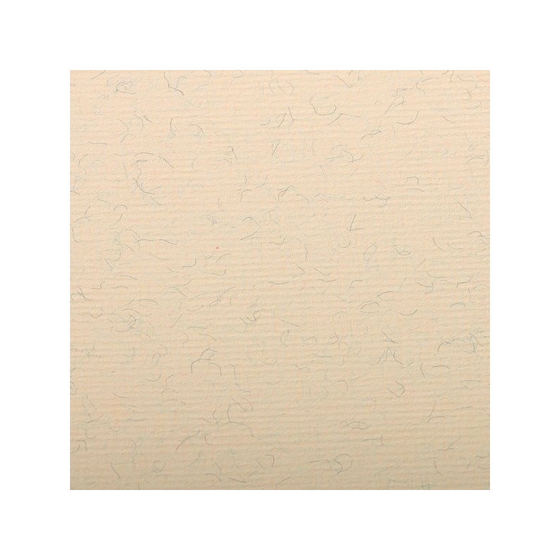 FEUILLE INGRES PASTEL 130 G 50 X 65 CREME MARBRE