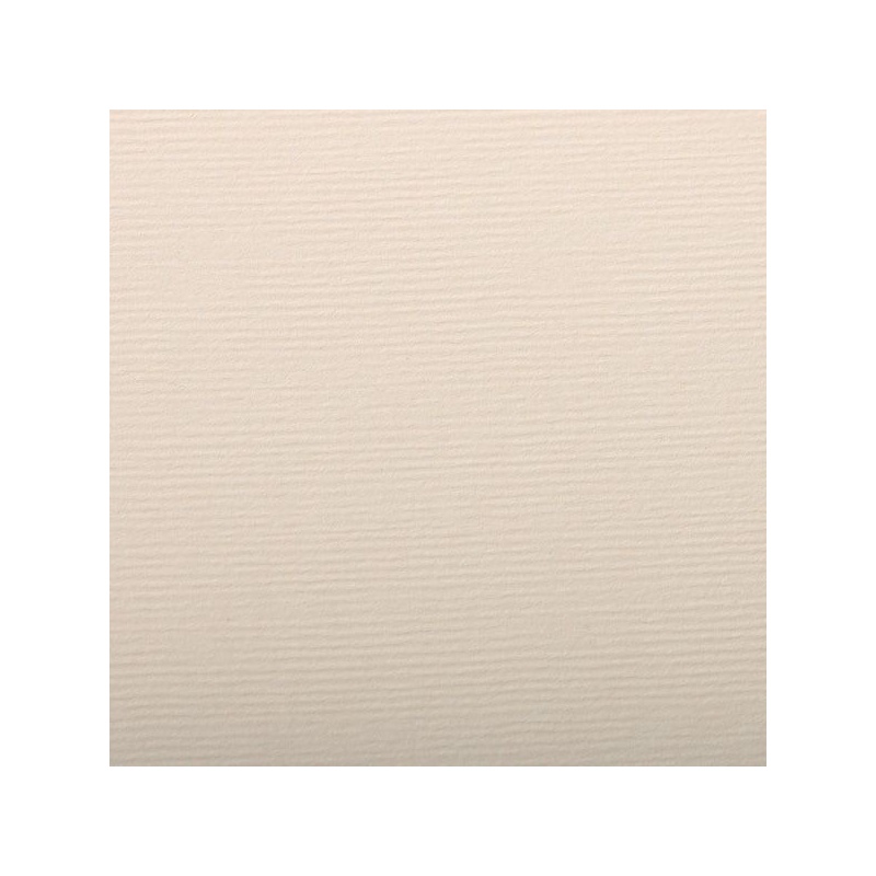FEUILLE INGRES PASTEL 130 G 50 X 65 BEIGE UNI