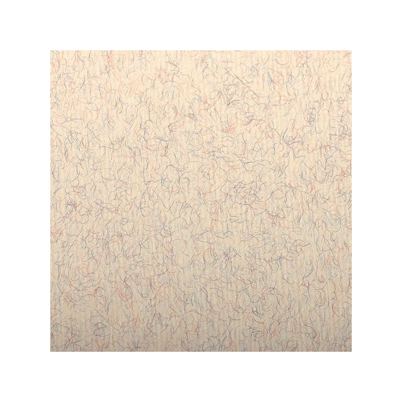 FEUILLE INGRES PASTEL 130 G 50 X 65 BEIGE MARBRE