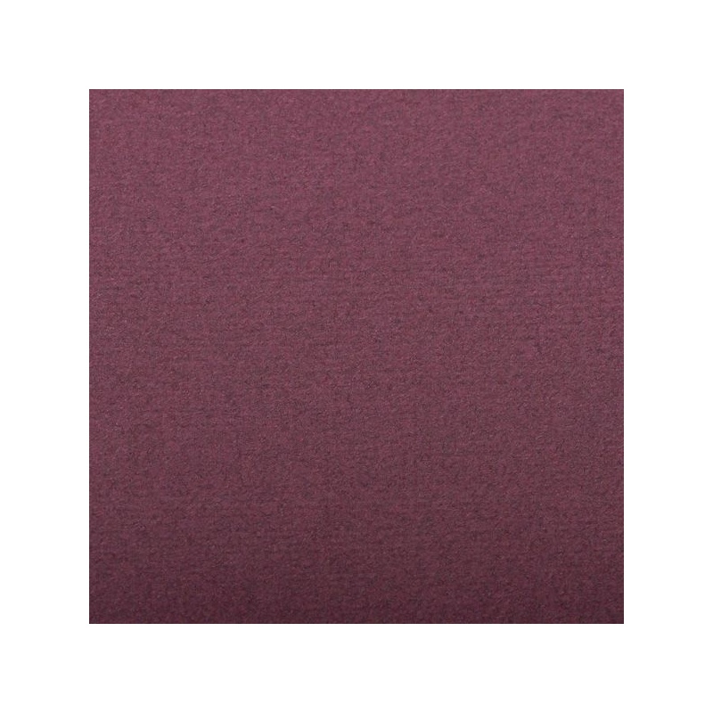 FEUILLE INGRES PASTEL 130 G 50 X 65 VIOLINE