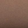 FEUILLE INGRES PASTEL 130 G 50 X 65 MARRON