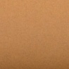 FEUILLE INGRES PASTEL 130 G 50 X 65 OCRE