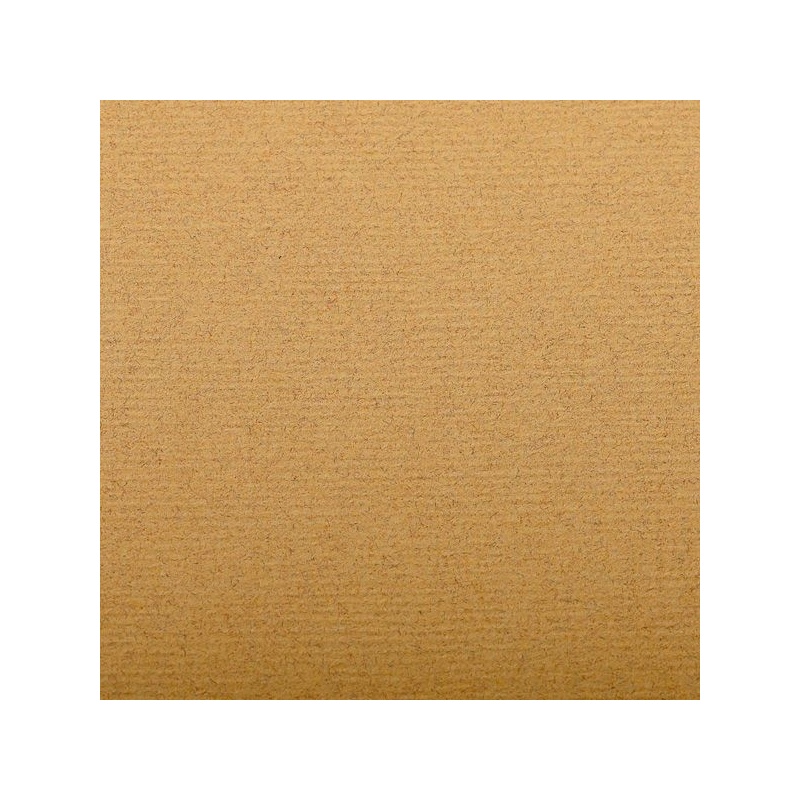 FEUILLE INGRES PASTEL 130 G 50 X 65 JAUNE
