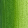 VERT VESSIE PERMANENT