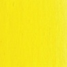 JAUNE CITRON WINSOR
