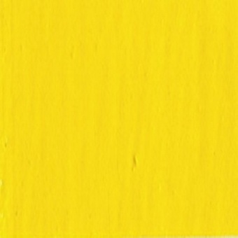JAUNE WINSOR