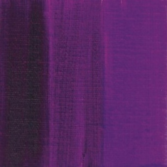 VIOLET BLEU DE FRANCE