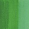 VERT PERMANENT CLAIR(VERT ORIENT)
