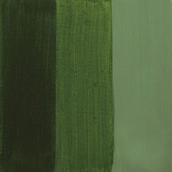 VERT DE VESSIE