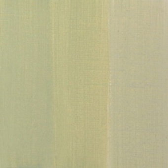 VERT DE GRIS MOYEN