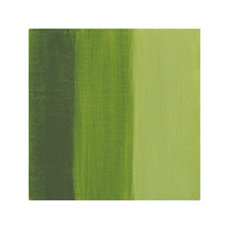VERT BAMBOU