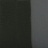 NOIR INTENSE
