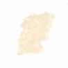 GRIS OLIVE  455