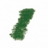 VERT SAPIN N° 4  913