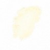 JAUNE DE NICKEL N° 5  904