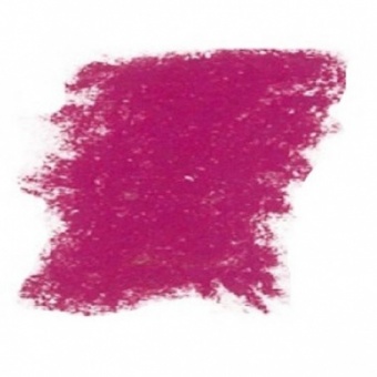 VIOLET DE POURPRE  323
