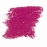VIOLET DE POURPRE  323