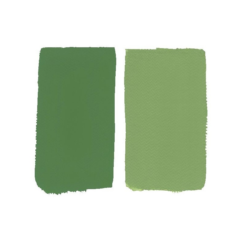 VERT DE VESSIE
