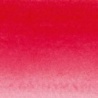 ECARLATE