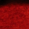 SANGUINE