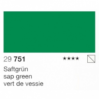 VERT DE VESSIE
