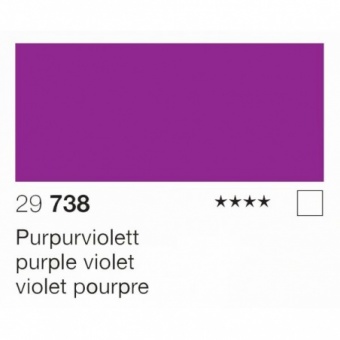 VIOLET POURPRE