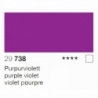 VIOLET POURPRE