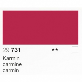 CARMIN