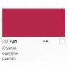 CARMIN