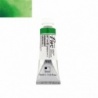 PERMANENT GREEN 2