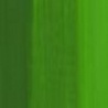 VERT MOYEN