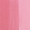 ROSE DES ANTILLES