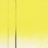 JAUNE PRIMEVERE DE CADMIUM