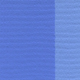 BLEU REX