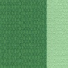VERT MOYEN