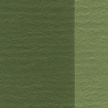 TERRE VERTE